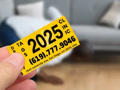 Book Your Status Check Appointment